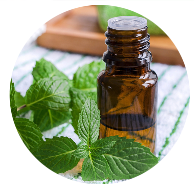 Essential Oil Diffuser,holan 120ml Ultrasonic Aromatherapy (653x686), Png Download
