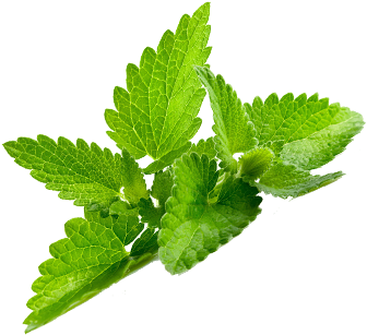 Pride Of India - Organic Mint Herbal Tea, 1 Pound Whole (350x350), Png Download