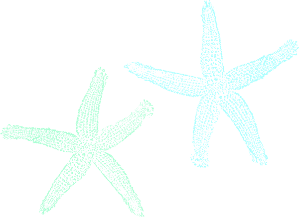 Mint Clipart Starfish - Private Listing For Pam 2 Pair Custom Angela Style (600x436), Png Download