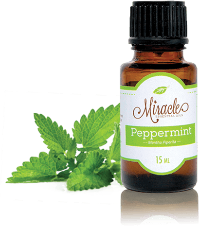 Store Peppermint Miracle Essential Oils - Spearmint Candle Fragrance Oil (516x553), Png Download