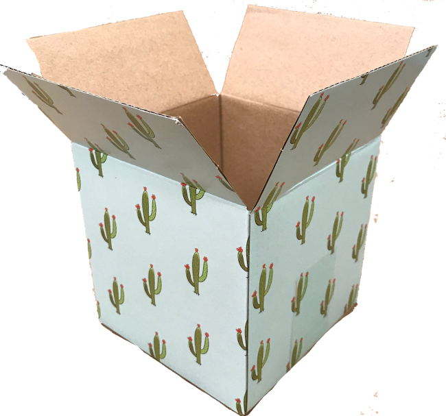 Cactus Shipping Boxes 5x5x5 - Box (650x607), Png Download