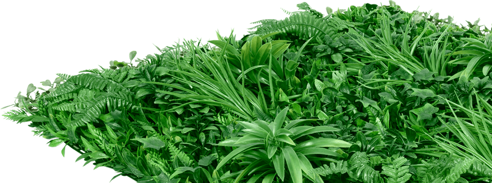 Living Wall - Green Wall (1015x378), Png Download