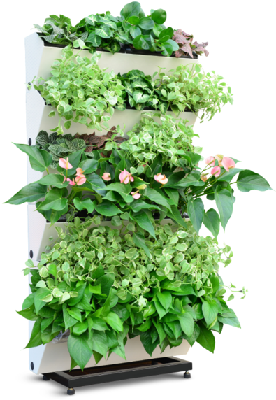 Easy Clip System Converts Your Empty Wall Into A Garden - Model (400x599), Png Download