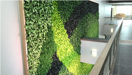 Wall (1024x250), Png Download