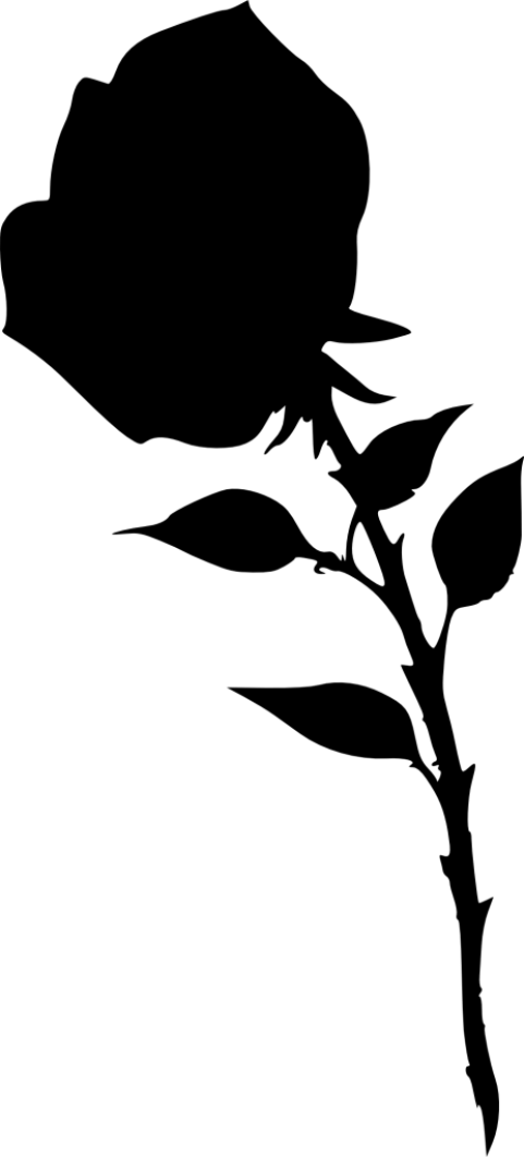 Free Png Rose Silhouette Png Images Transparent - Portable Network Graphics (481x1062), Png Download