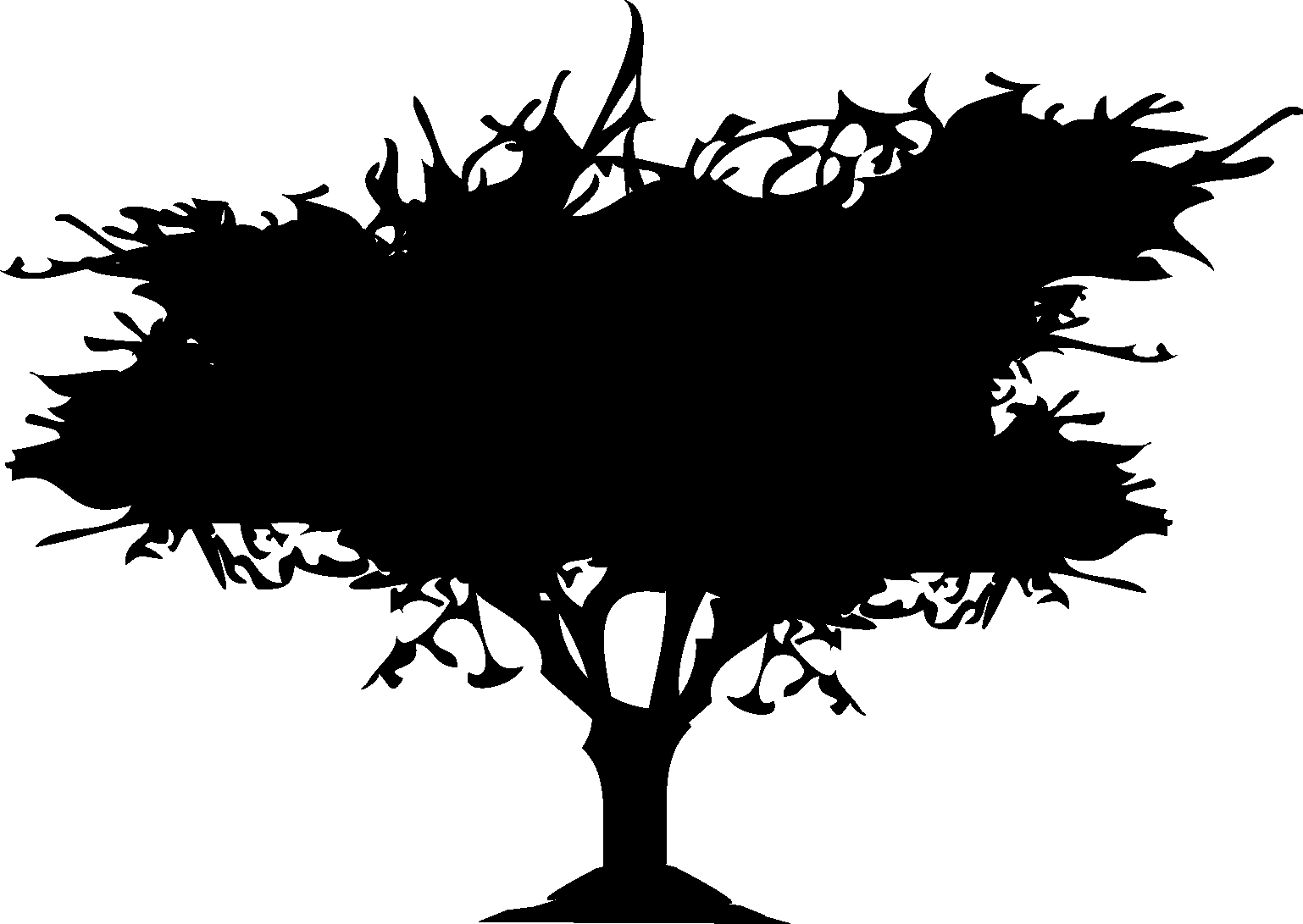 Trees Silhouette - Vector Graphics (1538x1091), Png Download