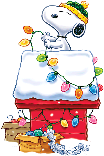 Charlie Brown Christmas Png - Christmas Eve Charlie Brown (388x542), Png Download