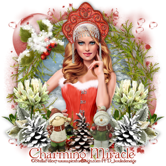 Ct Tag, Timeline And Embellishments For Charming Miracle (700x700), Png Download