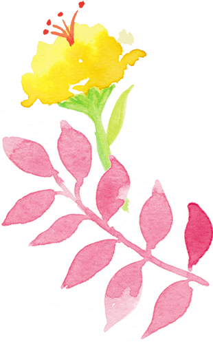 Under Left Flowers - Common Peony (309x526), Png Download