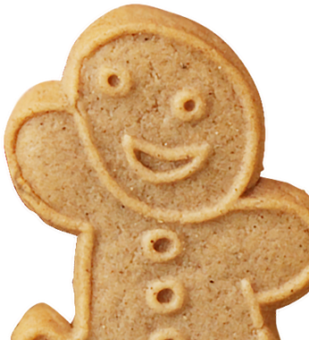 Seasonal Cookie Background - Cookie (459x385), Png Download