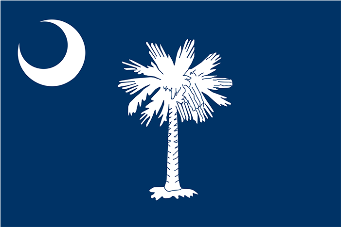 South Carolina Flag (800x600), Png Download