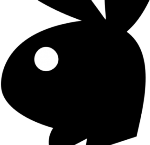 0 - Illustration (1024x465), Png Download