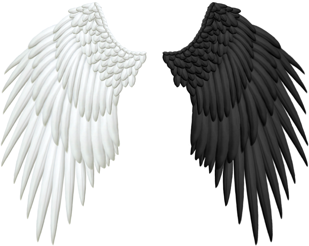 Half Wings Png Transparent - Angel And Demon Wings Png (998x796), Png Download
