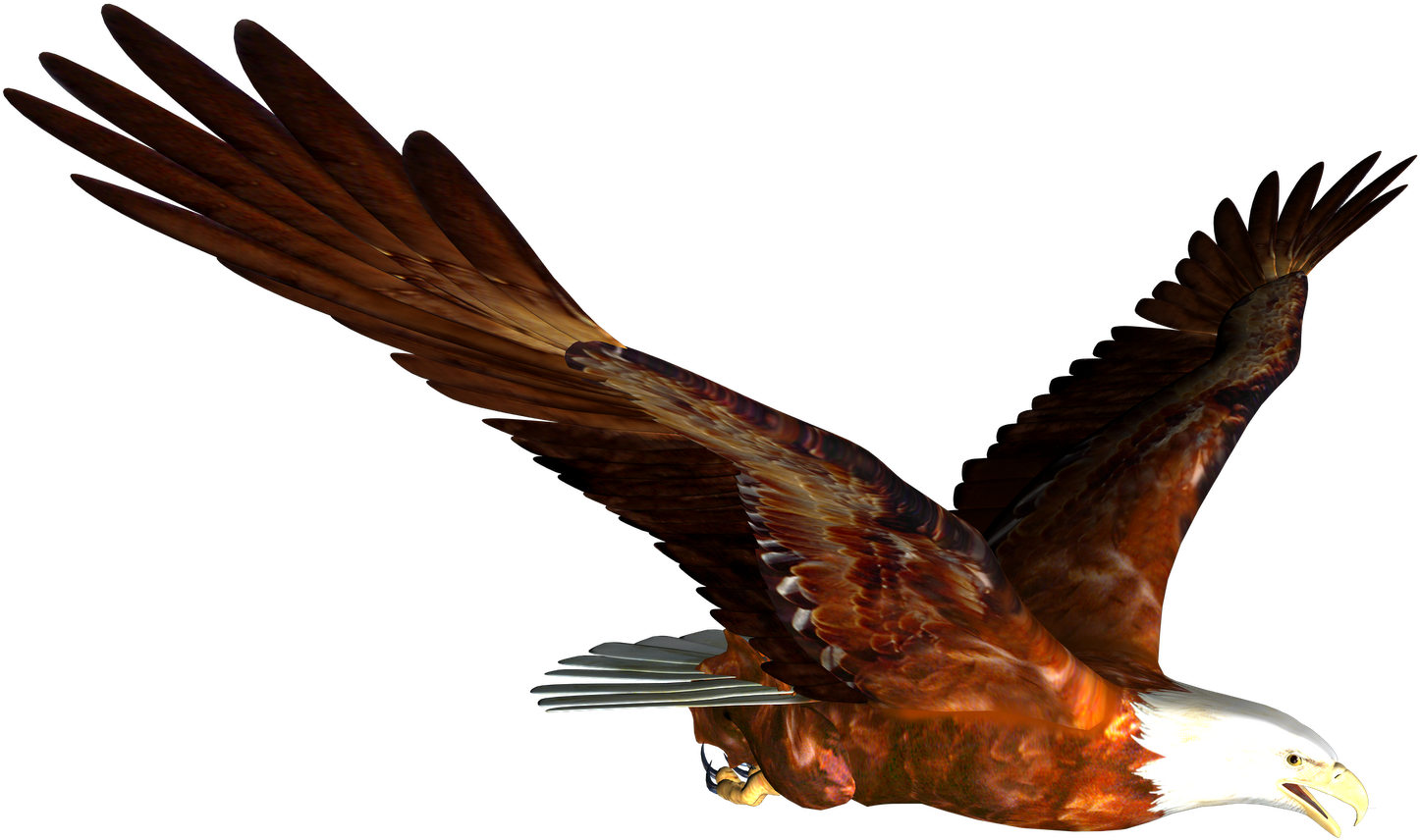 Download Amazing High-quality Latest Png Images Transparent - Flying Eagle Gif Png (1024x724), Png Download