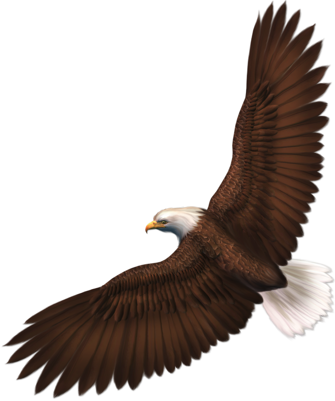 Download Eagle Png Image With Transparency Download - Transparent Background Eagle Clipart (1001x1200), Png Download