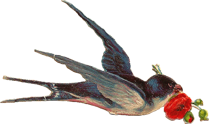 Vintage Bird - Vintage Png (877x596), Png Download