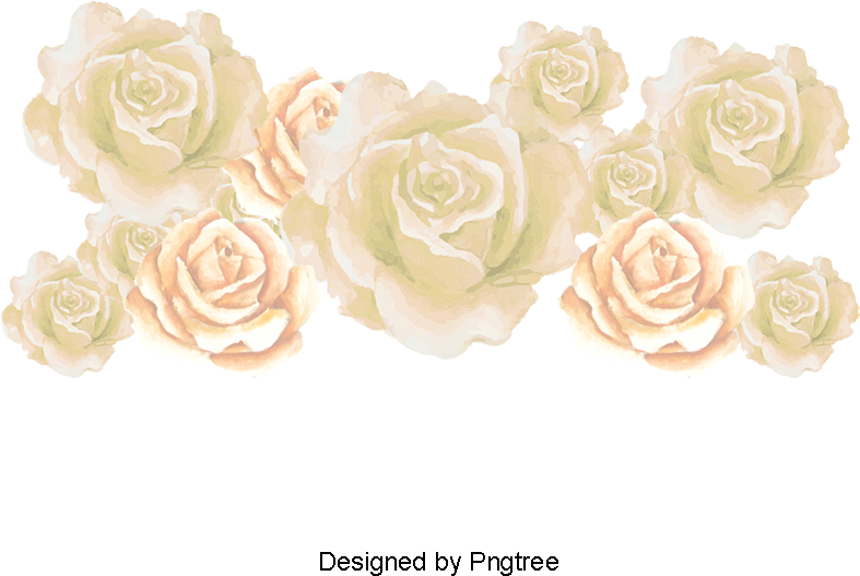 White Roses, Vector Rose Sea, Sea Rose Creative, Flowers - Portable Network Graphics (360x360), Png Download