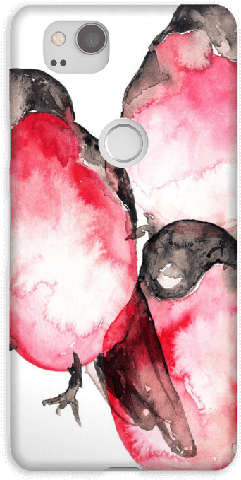 Bullfinch Case Pixel - Mobile Phone Case (484x800), Png Download