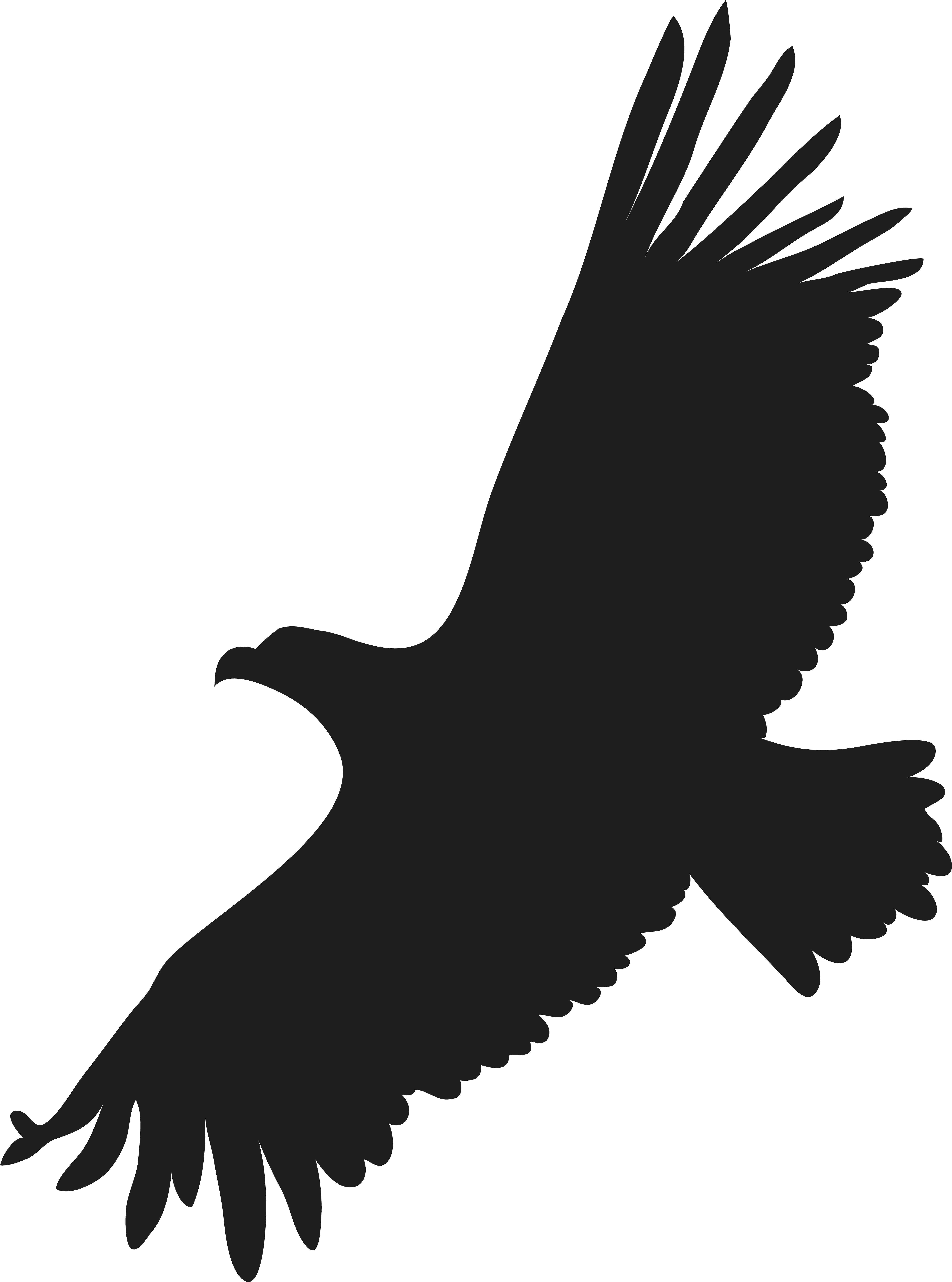 Red-tailed Hawk (5941x8000), Png Download