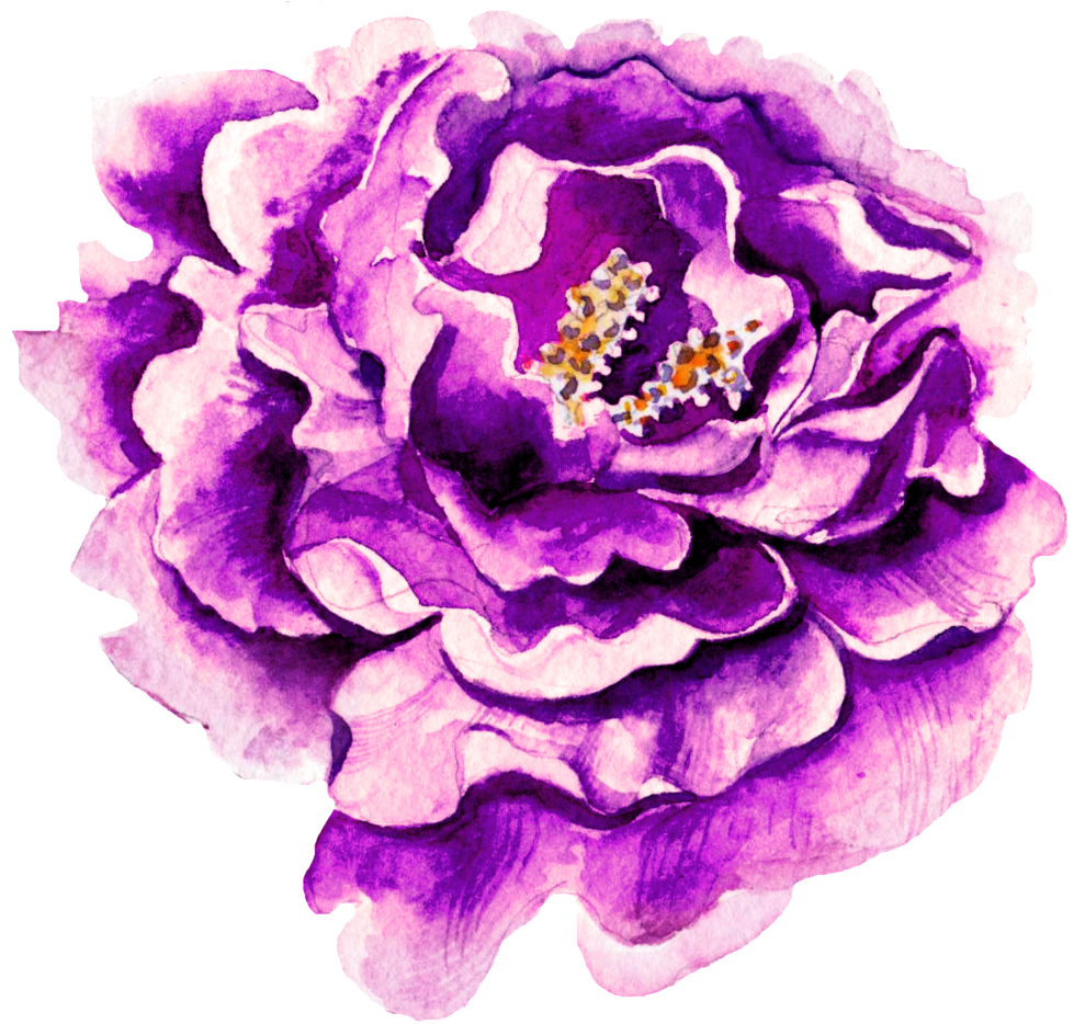 A Purple Watercolor Flower Transparent Png - Am Ende Steht Die Liebe (1024x937), Png Download