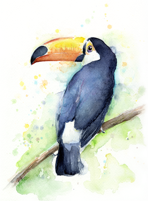 Related Image Watercolor Bird, Watercolor Artwork, - Toucan Watercolor (529x700), Png Download
