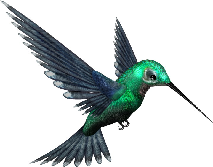 Bird Png - Picsart All Png Hd (457x359), Png Download