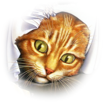 Cat-breakthru - Mouses And Cat Painting (355x350), Png Download