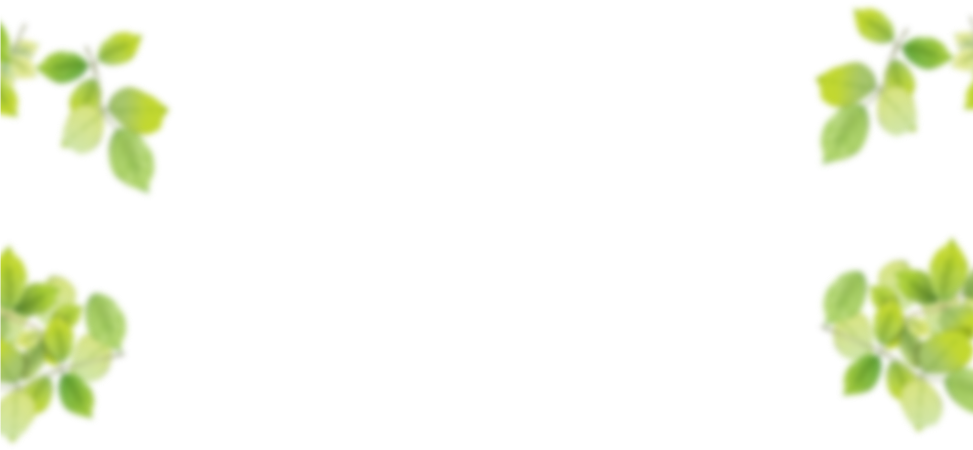 White Background With Leaves Border Png (1920x918), Png Download