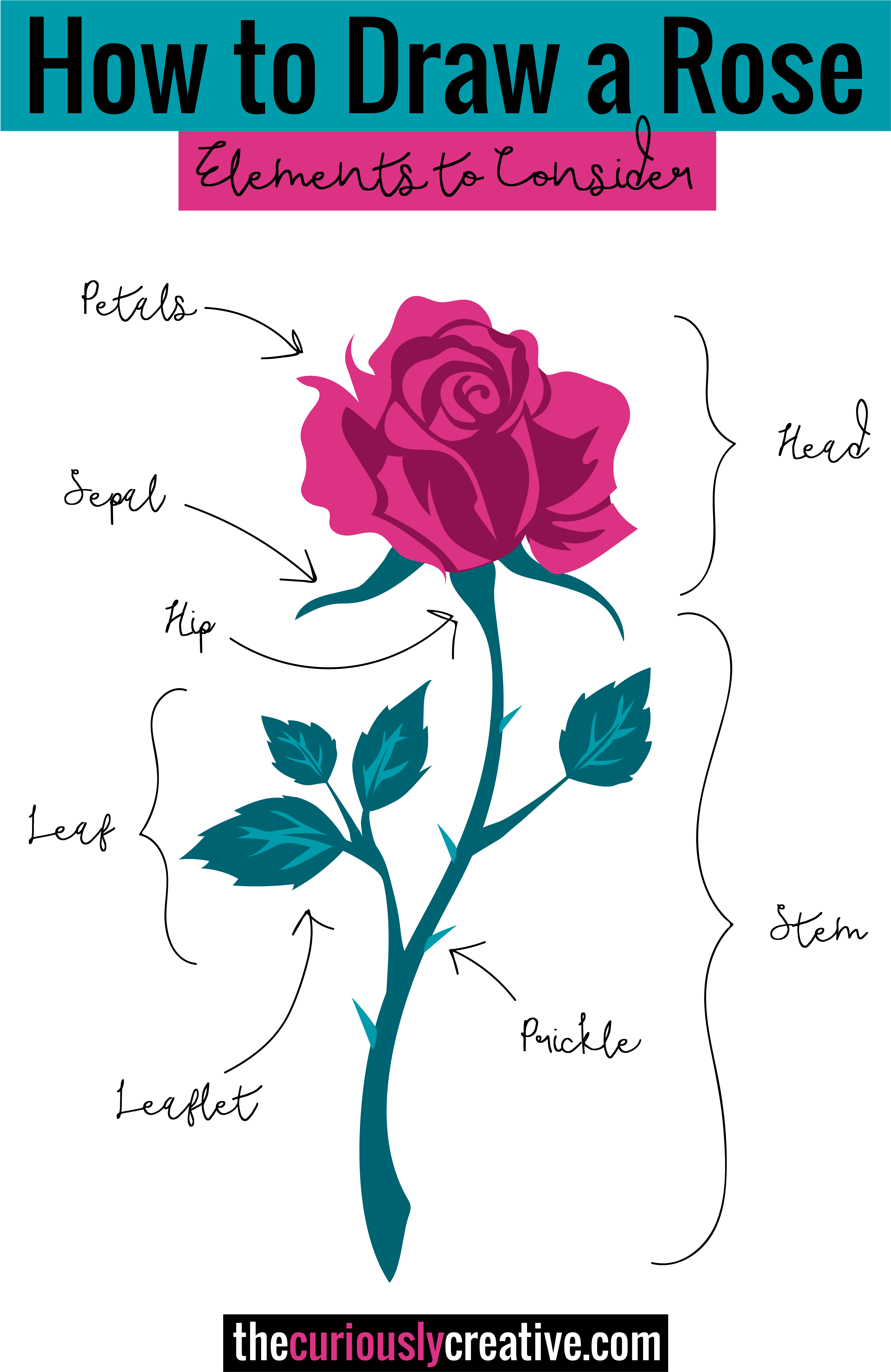 The Ultimate List Of Resources And Tutorials For How - Rose Drawing With Acrylic (3333x4664), Png Download