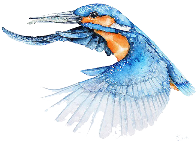 Bird Watercolor Painting Architect Illustrator - Bird Flying Watercolor Png (880x615), Png Download