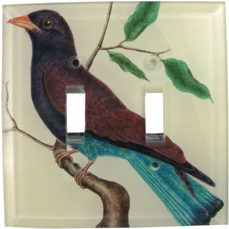 Purple Blue Bird - Giclee Painting: Buffon's Cuckoo Roller, 61x46in. (500x500), Png Download