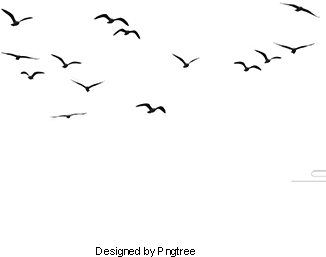 Birds, Birds, Animal, Birds Clipart Png Image And Clipart - Pássaros Png (360x360), Png Download