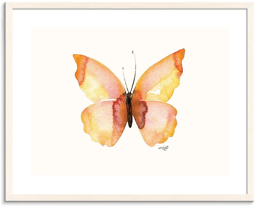 142kms Pfww Watercolor Butterfly 8 - Gerahmtes Leinwandbild Schmetterling 8 Artist Lane (900x900), Png Download