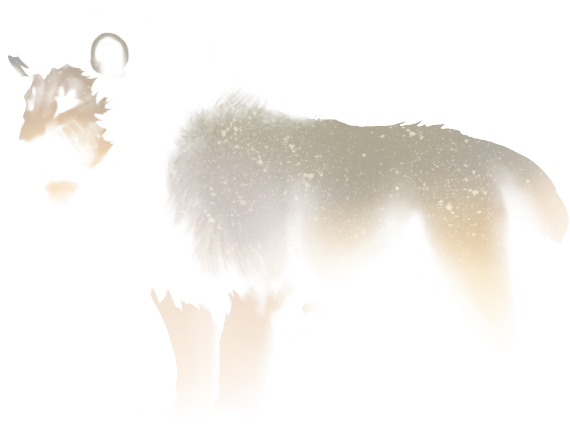 Snow (640x500), Png Download