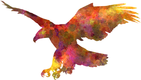 Bleed Area May Not Be Visible - Abstract Watercolour Painting Eagle (600x480), Png Download