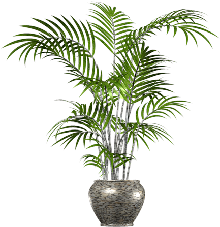 Palm Tree Png In Pot - Palm Tree In Pot Png (500x480), Png Download