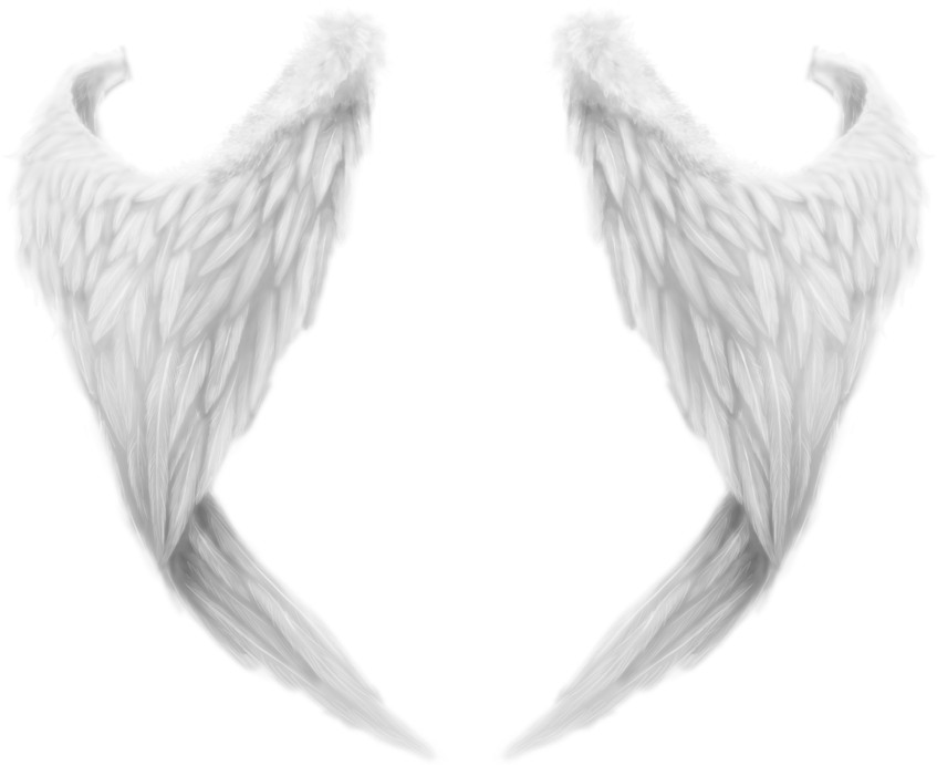 White Wings Png - Angel Wing Transparent Png (900x761), Png Download