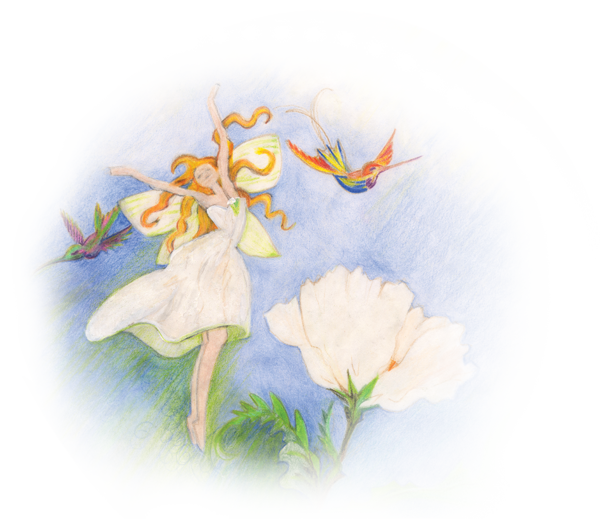 A Timeless Fairytale For Children For All Ages - Lily Family (600x530), Png Download