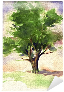 A Great Watercolor Painting Of A Tree Wall Mural • - Watercolor Tree (400x400), Png Download