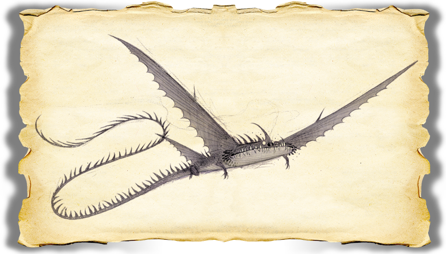 Dragons Bod Thunder Gallery Image 05 - Changewing Book Of Dragons (875x500), Png Download