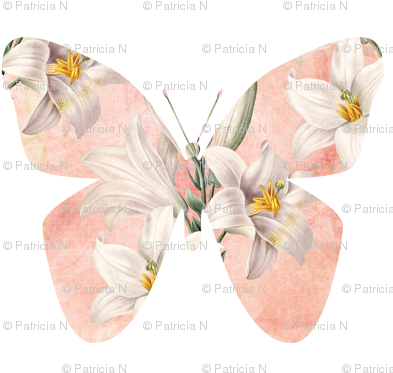 Peach Butterfly With Lilies - Lilies Note Cards (pk Of 20) (400x400), Png Download