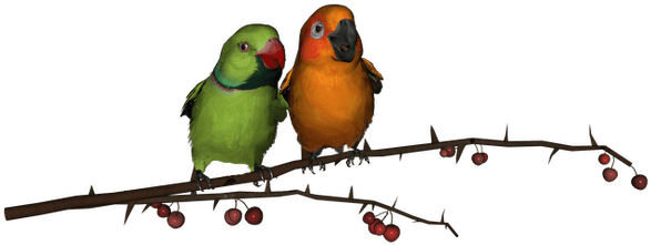 Free Download Images Of Love Birds - Png Love Birds Hd (594x420), Png Download