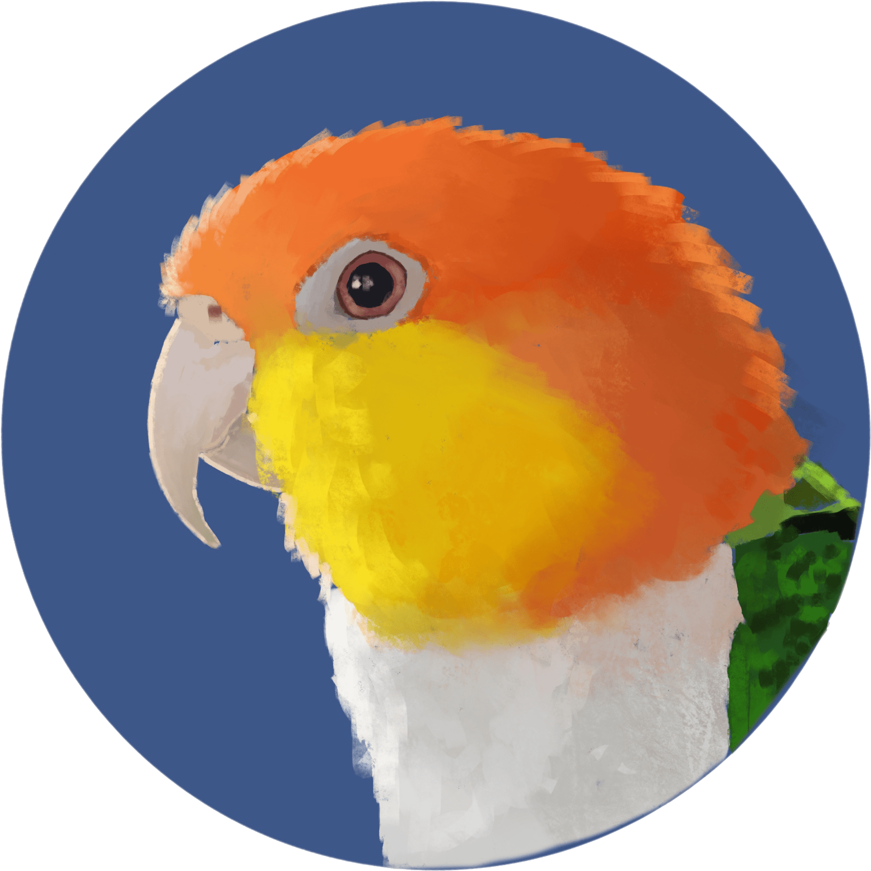 Simple Style $35 A Little More Detailed Than The Basic - Fish (2048x2048), Png Download