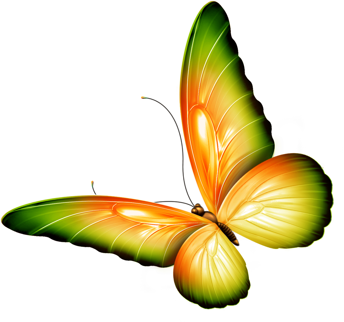 Deviantart Logo Clipart Butterfly Png - Clipart Flowers And Butterflies Border (1232x1140), Png Download