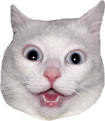 Download - Funny Energy Drink Memes (356x408), Png Download