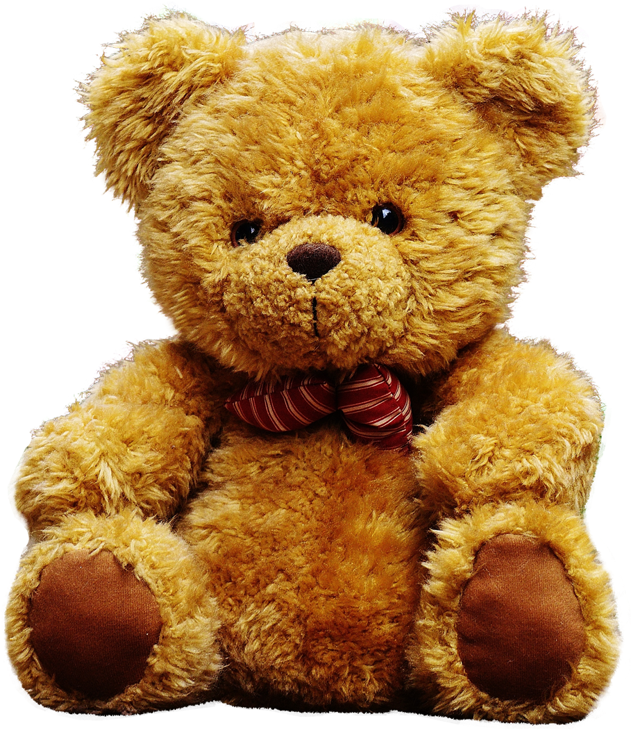 Teddy Bear Png Png (1000x1126), Png Download