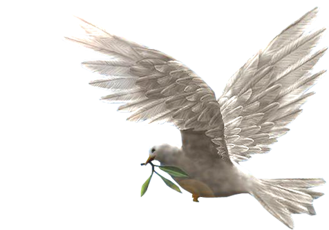 Dove Of Peace - Potala Palace (540x360), Png Download