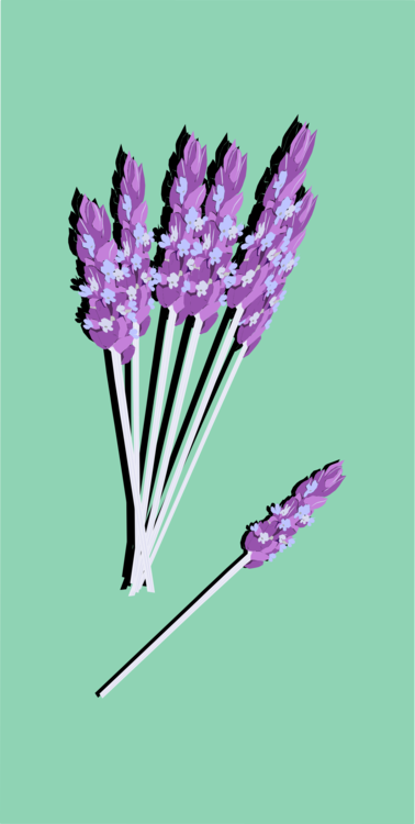 English Lavender Computer Icons Watercolor Painting - Make Your Own Flavored Sugar Cubes - Epub (378x750), Png Download