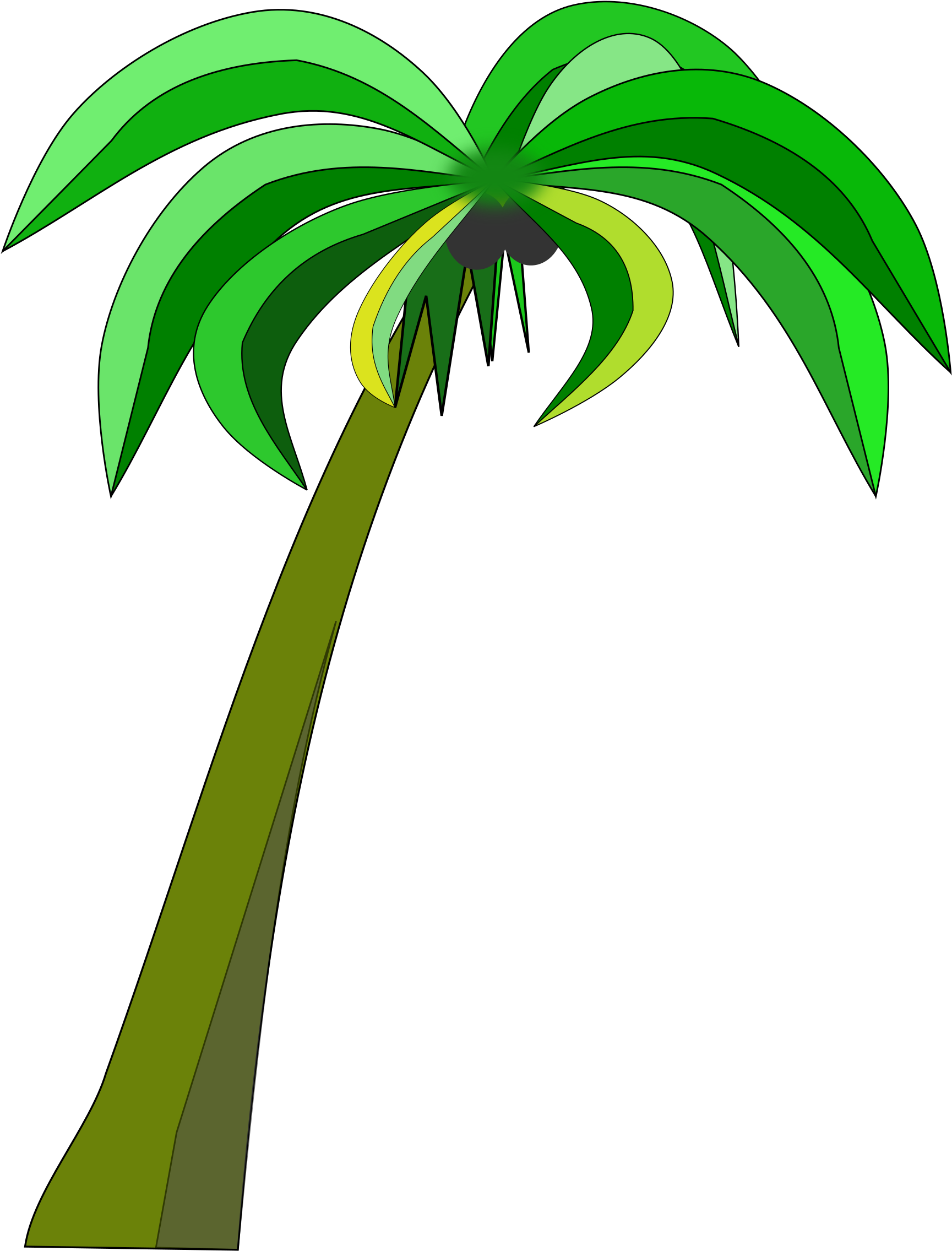 Download Palm Or Coconut Tree Clipart Black And White Download