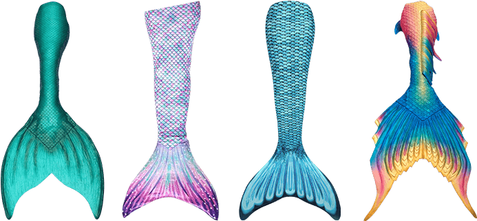 Mermaid Tail - Different Kinds Of Mermaid Tails (800x325), Png Download